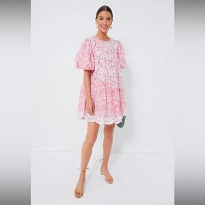 Ash & Eden Pink Milena Asymmetric Schiffli Mini Dress Size: L